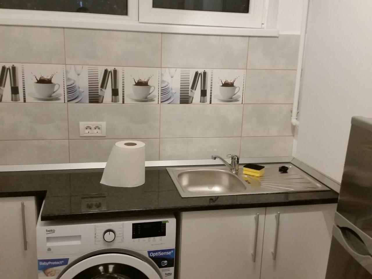Grozavesti Apartment Near Politehnic Park Bukarest Exteriör bild