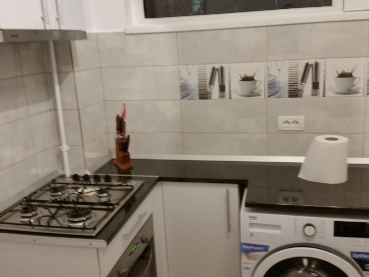 Grozavesti Apartment Near Politehnic Park Bukarest Exteriör bild